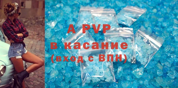 стафф Коряжма