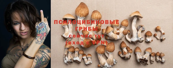 стафф Коряжма