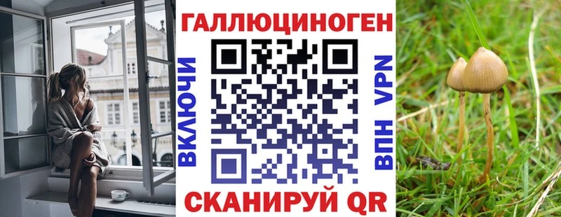 Галлюциногенные грибы Psilocybe  Купить  Пустошка 